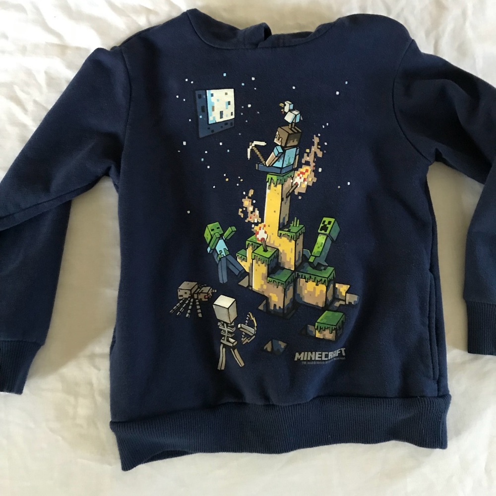 Minecraft hoodie